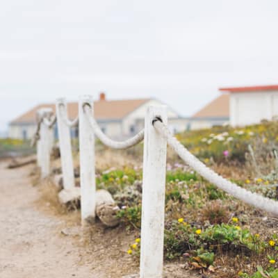 Choosing The Right Domain Name: A Complete Guide For Businesses And Entrepreneurs